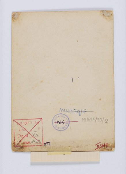 ML/H/F/70/2 - Fotografia przedstawia pięć osób: siedzącą kobietę w wielu dojrzałym, ubraną w ciemną suknię i czepek. Obok niej stoją dwie młode dziewczyny, również w ciemnych sukniach, bez nakryć głowy. Starsza opiera rękę na ramieniu młodszej, która trzyma w ręku kapelusz. Przy starszej kobiecie siedzi mała dziewczynka z jasnymi włosami, ubrana w krótką, jasną sukienkę. Pośrodku stoi chłopiec, ubrany w ciemną marynarkę i jasne spodnie. Jedną rekę ma schowaną w połać marynarki, w drugiej trzyma kij (?). U góry na passepartout napis czarnym atramentem: 