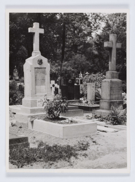 MPol/755/ML - Fotografia przedstawiająca grób rodzinny Polów na cmentarzu Rakowickim w Krakowie. W grobie spoczywają matka i żona W. Pola oraz jego wnuki: Juliusz, Idalia i Jerzy (dzieci Marka Stanisława). Grób ziemny z kamiennym krzyżem.