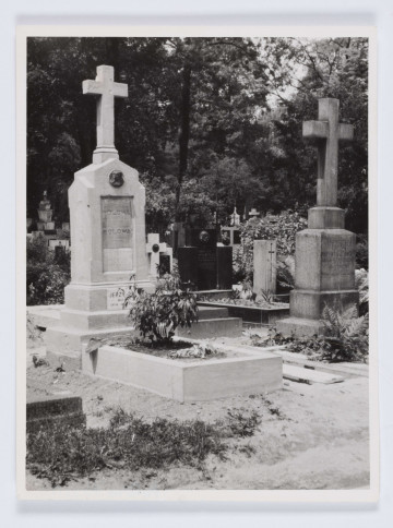 MPol/755/ML - Fotografia przedstawiająca grób rodzinny Polów na cmentarzu Rakowickim w Krakowie. W grobie spoczywają matka i żona W. Pola oraz jego wnuki: Juliusz, Idalia i Jerzy (dzieci Marka Stanisława). Grób ziemny z kamiennym krzyżem.