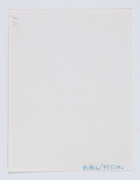 MPol/755/ML - Fotografia przedstawiająca grób rodzinny Polów na cmentarzu Rakowickim w Krakowie. W grobie spoczywają matka i żona W. Pola oraz jego wnuki: Juliusz, Idalia i Jerzy (dzieci Marka Stanisława). Grób ziemny z kamiennym krzyżem.