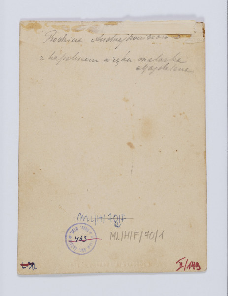 ML/H/F/70/1 - Fotografia przedstawia pięć osób: siedzącą kobietę w wielu dojrzałym, ubraną w ciemną suknię i czepek. Obok niej stoją dwie młode dziewczyny, również w ciemnych sukniach, bez nakryć głowy. Starsza opiera rękę na ramieniu chłopca. Przy starszej kobiecie siedzi mała dziewczynka z jasnymi włosami, ubrana w krótką, jasną sukienkę. Po lewej stoi dziewczyna z włosami zaczesanymi do góry. Jedna ręką opiera się o plecy siedzącej kobiety, w drugiej trzyma słomkowy kapelusz z kokardą. U góry na passepartout napis czarnym atramentem: 