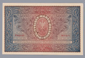 N/Bn/1656/ML - Aw. W falistej ramce ornamentyka w stylu secesji wiedeńskiej. W ozdobnych kartuszach:
 z lewej portret królowej Jadwigi, z prawej Tadeusza Kościuszki. Pod wizerunkami oznaczenie nominału – 5000 i emitenta: POLSKA + KRAJOWA + KASA + POŻYCZKOWA
Centralnie, w tablicy, na tle godła państwowego: PIĘĆ TYSIĘCY / MAREK POLSKICH /czterowierszowa gwarancja państwa polskiego wymiany niniejszego biletu na przyszłą walutę polską / WARSZAWA, DNIA 7. LUTEGO 1920 ROKU / DYREKCJA POLSKIEJ KRAJOWEJ KASY POŻYCZKOWEJ
Podpisy: Władysław Byrka, Józef Zarzycki
Niżej: Skarbnik Główny 
Podpis: Marian Karpus

Rw. Ornamentyka jak na awersie. Centralnie w owalu godło państwowe ujęte dookolnym napisem: *PIĘĆ+TYSIĘCY+MAREK+POLSKICH
Po bokach, u góry: 5000 – 5000; niżej, czerwoną farbą oznaczenie serii i numeru: II Serja AG – No 4444,653
U dołu sankcja karna za podrabianie, fałszowanie i puszczanie w obieg podrobionych lub fałszowanych biletów PKKP.