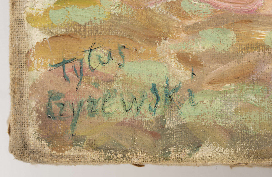 W centralnej części obrazu wiatrak z długimi skrzydłami. Po jego prawej stronie dom z gankiem oraz płot. Na pierwszym planie rozległa łąka. Na horyzoncie szpaler wysokich, smukłych drzew. Przy prawej krawędzi płótna jedno wyższe, rozłożyste drzewo. Na niebie skłębione chmury. W tonacji barwnej dominują brązy i zielenie, w partii nieba błękit i biel. Nieregularne, drobne pociągnięcia pędzla, wywołujące efekt fakturowy. 