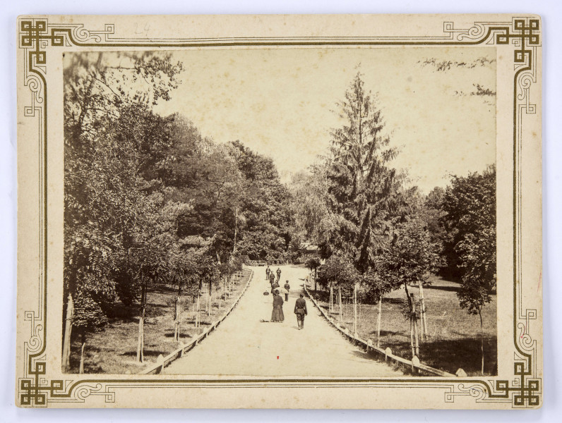Widok na aleje parkową w Ogrodzie Saskim w Lublinie. Ujęcie w perspektywie. Na pierwszym planie aleja prowadząca w głąb parku i rozwidlająca się na dwie części, po obu stronach otoczona niskim ogrodzeniem. Pośrodku widocznych kilku spacerowiczów. Odwróceni od obiektywu: kobieta w ciemnej sukni z rozłożoną parasolką oraz idąca obok postać kobieca w jasnej sukni, za i przed nimi mężczyźni w mundurach i strojach cywilnych. Z naprzeciwka idące trzy postacie. Po bokach wysokie drzewa oraz opalikowane młode drzewka. 
Fotografia sepiowana, naklejona na tekturę, otoczona ozdobną ramką w kolorze złotym o motywach geometryczno-roślinnych.
