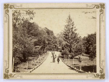 Widok na aleje parkową w Ogrodzie Saskim w Lublinie. Ujęcie w perspektywie. Na pierwszym planie aleja prowadząca w głąb parku i rozwidlająca się na dwie części, po obu stronach otoczona niskim ogrodzeniem. Pośrodku widocznych kilku spacerowiczów. Odwróceni od obiektywu: kobieta w ciemnej sukni z rozłożoną parasolką oraz idąca obok postać kobieca w jasnej sukni, za i przed nimi mężczyźni w mundurach i strojach cywilnych. Z naprzeciwka idące trzy postacie. Po bokach wysokie drzewa oraz opalikowane młode drzewka. 
Fotografia sepiowana, naklejona na tekturę, otoczona ozdobną ramką w kolorze złotym o motywach geometryczno-roślinnych.