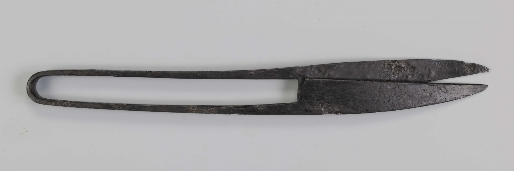 604/A/ML/7 - Nożyce żelazne z jednostronnie wyodrębnionymi ostrzami. 