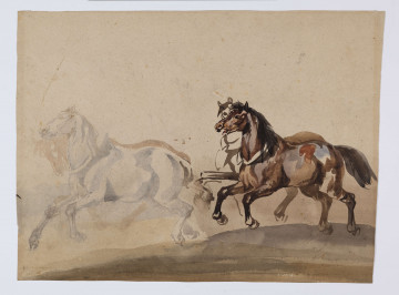 S/G/1471/ML - Cztery konie w galopie na jasnym tle. Konie ukazane z lewego profilu, po dwa w dwóch rzędach. W prawej części ryciny koń o gniadej maści w uprzęży, z otwartym pyskiem. Za nim widoczny grzbiet o maści kasztanowej, fragment szkicu łba i piersi. W lewej części szkice dwóch koni, pierwszy siwy, drugi jasnokasztanowy ze spuszczonym łbem. Konie zbiegają z niewielkiego pagórka. Całość obrysowana cienką, czarną ramką i szarą szerszą z zewnątrz.