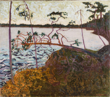 Fragment jeziora otoczony zalesionym brzegiem. Na pierwszym planie skarpa porośnięta trawą i pojedynczymi drzewami. Jedno z drzew, przewrócone, zawieszone jest nad taflą pofalowanej wody. W tle wąska linia zalesionego horyzontu. Z prawej strony wysokie sosny. 