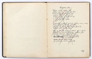 Brulion to prawie stukartkowy, elegancki zeszyt oprawiony w grubą tekturę obleczoną ozdobnie tłoczonym czarnym płótnem, karty gładkie, kremowobiałe, pokryte na brzegach pozłotą (lub farbą karminową), format: 20,5 x 16 cm. Teksty zapisane zielonym i czarnym, często wyblakłym atramentem oraz ołówkiem, na niektórych kartach tytuły wierszy podkreślone czerwoną kredką. Zabytek ten jest mocno sfatygowany: blok doklejony do okładki oraz przymocowanych dwoma paskami bezbarwrwnego płótna, pęknięty, niektóre karty oderwane od zszywek poszytowych (np. zszywki metalowe, w dużym stopniu zardzewiałe, które zniszczyły dodatkowo papier, zostały usunięte podczas konserwacji w muzeum). Całość sprawia wrażenie brulionu wielokrotnie kartkowanego - ślady palców. Karty ponumerowane są ołówkiem na górnym prawym marginesie, ta numeracja wykonana została przez pracowników muzeum , oraz na marginesie dolnym - ta pochodzi od Edwarda Kozłowicza. Między numerami z góry i z dołu zachodzi rozbieżność o 1 numer, jako że poprzedni depozytariusz zaczął numerację od pierwszej karty zapisanej przez Czechowicza; muzealnicy, którzy wpisywali numery na górnym prawym marginesie - zaczęli prawidłowo numerację od pierwszej przyokładkowej, niezapisanej karty zeszytu. Od Kozłowicza pochodzą zapewne dość liczne ołówkowe adnotacje na marginesach niektórych kart. Głównie odnoszą się one do różnic tekstowych pomiędzy brulionem a edycją niektórych wierszy zamieszczonych w tomiku poezji J. Czechowicza pt. 