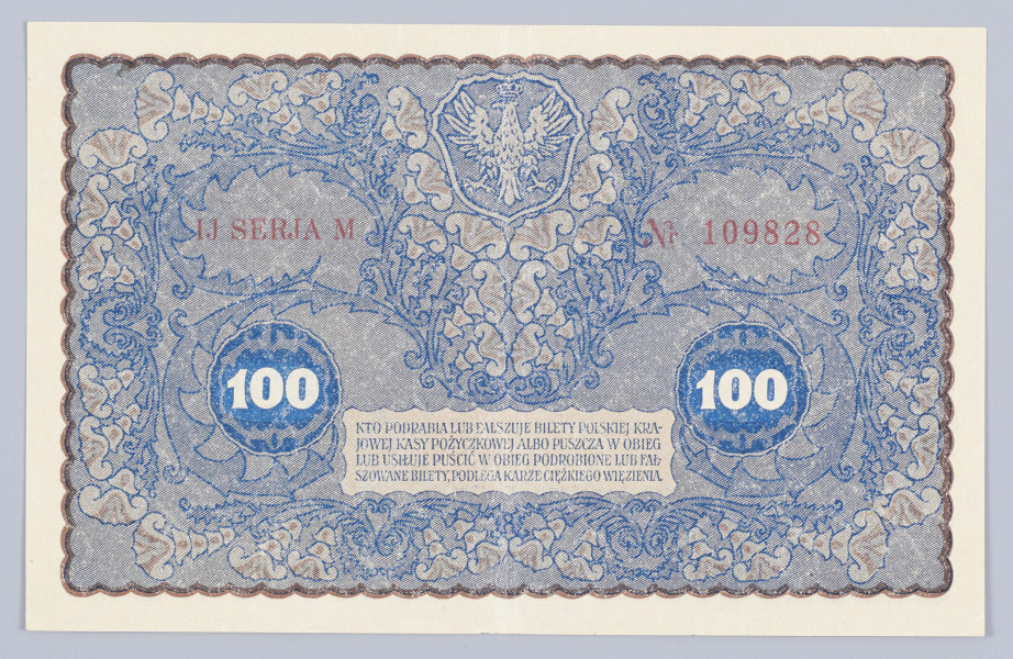 Aw. W falistej ramce ornamentyka kwietna w stylu wiedeńskiej secesji. Z prawej w stylizowanej tarczy wizerunek Tadeusza Kościuszki, na podstawie obrazu Józefa Grassiego. Wyżej w mniejszej tarczy godło państwowe, niżej oznaczenie nominału - 100. W ramce z lewej, na tle nominału - 100, od góry: POLSKA . KRAJOWA / STO / MAREK POLSKICH;   niżej drobnym drukiem: PAŃSTWO POSLKIE BIERZE NA SIEBIE ODPOWIEDZIALNOŚĆ ZA WY- / MIANĘ NINIEJSZEGO BILETU NA PRZYSZŁĄ WALUTĘ POLSKĄ WE- / DŁUG STOSUNKU, KTÓRY DLA MAREK POLSKICH UCHWALI SEJM . / USTAWODAWCZY. WARSZAWA, DNIA 23. SIERPNIA 1919 ROKU / DYREKCJA POLSKIEJ KRAJOWEJ KASY POŻYCZKOWEJ
Podpisy: Józef Zarzycki (Dyrekcja PKKP); Marian Karpus (Skarbnik Główny)

Rw. W falistej ramce ornamentyka kwietna. U góry na osi godło państwowe, po bokach od lewej numer i seria: IJ SERJA M – Nr 109828. Niżej ramka z czterowierszowym tekstem mówiącym o sankcjach karnych za fałszowanie pieniądza, po bokach w ozdobnych tondach oznaczenie nominału: 100 – 100