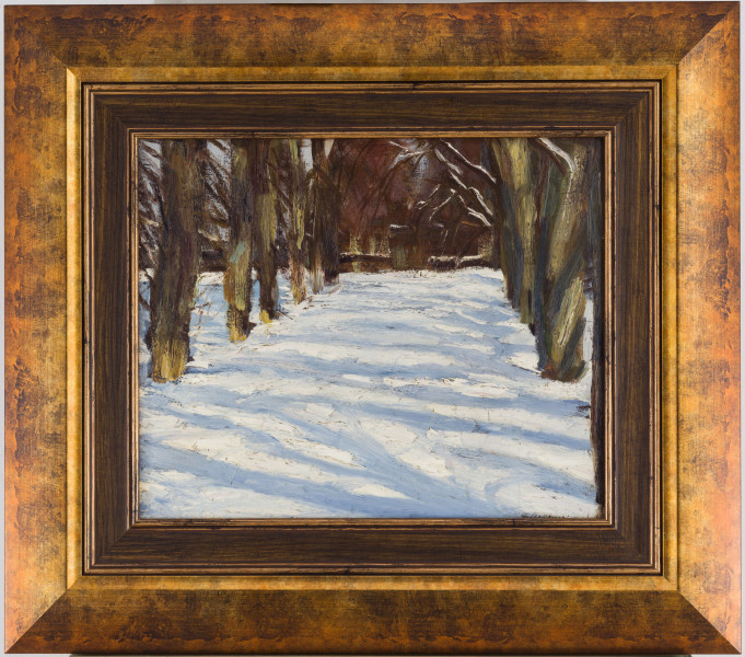 Szeroka aleja wysadzona drzewami. Widoczne jedynie pnie drzew. Aleja przykryta śniegiem, na którym układają się cienie i przebłyski słońca. W tle, na końcu alei widoczne zabudowania.