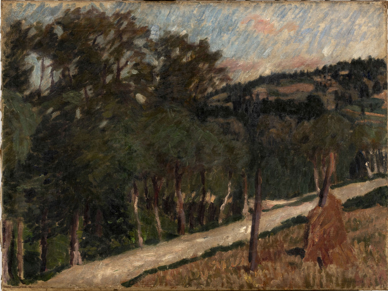 Na pierwszym planie wąska, piaszczysta droga, przebiegająca ukośnie przez obraz. Przed nią fragment zielono-brązowej murawy i dwa drzewa. Po przeciwległej stronie grupa ciemnozielonych, liściastych drzew. W oddali krajobraz z zielonymi wzgórzami, lasami oraz brązowymi plamami pól. Z prawej strony u góry fragment szafirowego nieba z różowymi obłokami. 