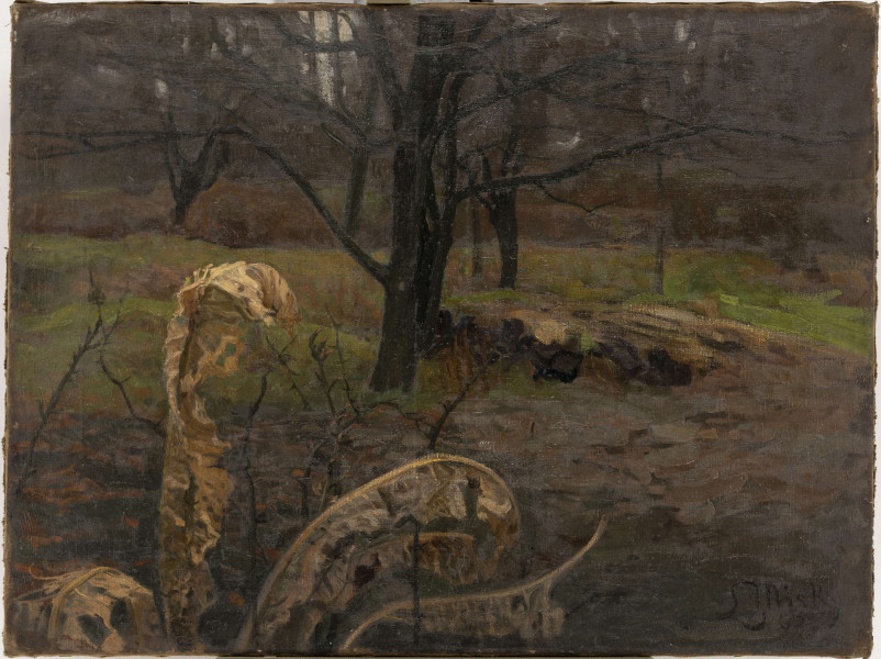 Na pierwszym planie zwinięte, suche liście i cienkie łodygi krzewów. W centrum drzewa o rozłożystych, bezlistnych konarach. W tle pojedyńcze, bezlistne drzewa. 