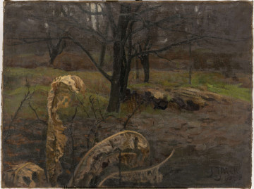 Na pierwszym planie zwinięte, suche liście i cienkie łodygi krzewów. W centrum drzewa o rozłożystych, bezlistnych konarach. W tle pojedyńcze, bezlistne drzewa. 