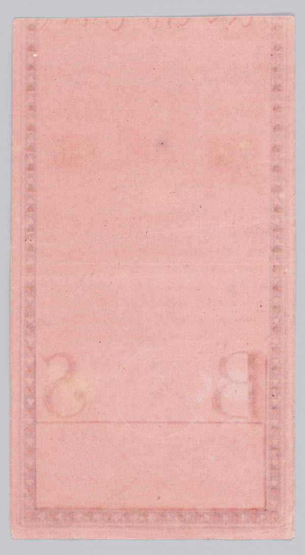 Aw. U góry widoczna część napisu pisanką: BILET SKARBOWY; niżej numer serii : A i napis: 
Uchwała Rady Najwyższej Narod. Dnia 8 Czerw.1794
Niżej, centralnie na osi symbole wolności: czapka frygijska, uzbrojenie sankiulotów, baszty murów więziennych, łańcuchy absolutyzmu, gromy ludu i skrzydła wolności. Wyżej z lewej Orzeł, a  z prawej strony Pogoń. Po bokach napis: Bilet – Skarbowy, a niżej w podwójnej prostokątnej ramce na ciemnym kreskowanym tle wartość nominału: 
100 – STO
Pod spodem tekst uchwały:
Na Sto Złotych polskich/: rachując z iedney / Grzywny Kolońskiej Złłch polch 84 1/2 Monety / Srebrnej:/ które Skarb Narodowy każdemu Uka= / zicielowi ninieyszego Biletu z funduszow / na umorzenie Biletów skarbowych prze= / znaczonych y na ogólnych Dobrach Na= / rodowych hypotekowanych zapłaci oraz / we wszelkich dochodach Publicznych we= / dług powyższey Uchwały Rady Naywyż= / szey Narodowey przyimować będzie
Pod tekstem uchwały znaki zabezpieczające, pośrodku centralnie obłamany stempel suchej pieczęci Dyrekcji Biletów Skarbowych z poziomą inskrypcją: WOLNOŚĆ / CAŁOŚĆ / NIEPODLE / GŁOŚĆ i napisem otokowym: * PIECZĘĆ DYREKCYI BILETÓ[W].  Po bokach litery B – S, wybarwiane chemicznie. Niżej odręczne podpisy komisarzy wybranych spośród mieszczan warszawskich:  J. (Jan Klemens) Gaczkowski, J. (Jan) Klek, A. (Antoni) Michałowski i numer w owalnej ramce: 3951.

Rw. Czysty bez nadruków.