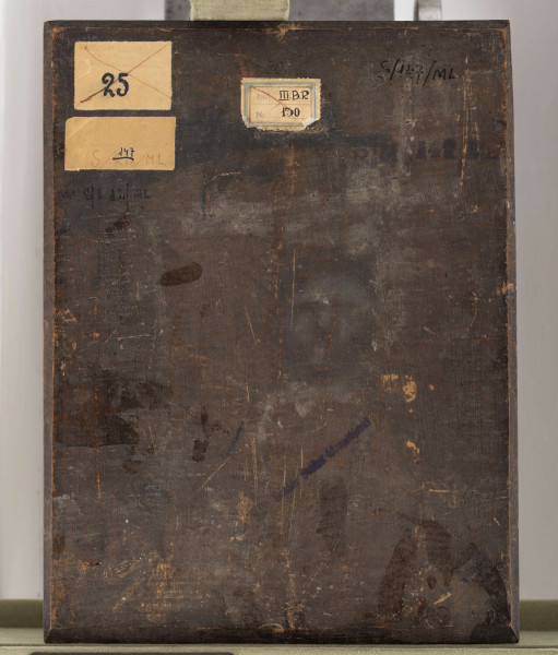 Młoda kobieta w półpostaci, z głową zwróconą w prawo, splecione dłonie opiera na czaszce, pod którą leży rozłożona księga. Ubrana w białą koszulę na którą narzucony jest błękitny płaszcz, zsuniete ubranie odsłania lewe ramię i głęboki dekolt. Karnacja ciała jasna, włosy długie, jasnoblond spływaja na ramiona i dekolt. W tle elementy pejzażu: ciemna korona drzewa po lewej stronie a po prawej pochmurzone niebo. 