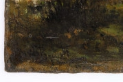 Fragment alei w parku. Na pierwszym planie trzy wysokie drzewa o wąskich pniach. Rzucają cień na aleję. Na drugim planie gąszcz zarośli i drzew. Z lewej strony rozjaśniona słońcem niewielka polanka. 