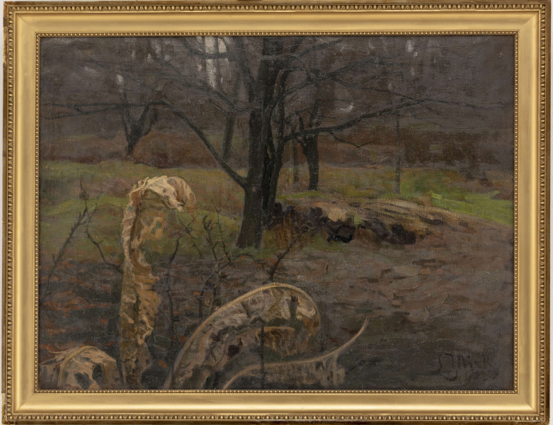 Na pierwszym planie zwinięte, suche liście i cienkie łodygi krzewów. W centrum drzewa o rozłożystych, bezlistnych konarach. W tle pojedyńcze, bezlistne drzewa. 