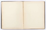 Brulion to prawie stukartkowy, elegancki zeszyt oprawiony w grubą tekturę obleczoną ozdobnie tłoczonym czarnym płótnem, karty gładkie, kremowobiałe, pokryte na brzegach pozłotą (lub farbą karminową), format: 20,5 x 16 cm. Teksty zapisane zielonym i czarnym, często wyblakłym atramentem oraz ołówkiem, na niektórych kartach tytuły wierszy podkreślone czerwoną kredką. Zabytek ten jest mocno sfatygowany: blok doklejony do okładki oraz przymocowanych dwoma paskami bezbarwrwnego płótna, pęknięty, niektóre karty oderwane od zszywek poszytowych (np. zszywki metalowe, w dużym stopniu zardzewiałe, które zniszczyły dodatkowo papier, zostały usunięte podczas konserwacji w muzeum). Całość sprawia wrażenie brulionu wielokrotnie kartkowanego - ślady palców. Karty ponumerowane są ołówkiem na górnym prawym marginesie, ta numeracja wykonana została przez pracowników muzeum , oraz na marginesie dolnym - ta pochodzi od Edwarda Kozłowicza. Między numerami z góry i z dołu zachodzi rozbieżność o 1 numer, jako że poprzedni depozytariusz zaczął numerację od pierwszej karty zapisanej przez Czechowicza; muzealnicy, którzy wpisywali numery na górnym prawym marginesie - zaczęli prawidłowo numerację od pierwszej przyokładkowej, niezapisanej karty zeszytu. Od Kozłowicza pochodzą zapewne dość liczne ołówkowe adnotacje na marginesach niektórych kart. Głównie odnoszą się one do różnic tekstowych pomiędzy brulionem a edycją niektórych wierszy zamieszczonych w tomiku poezji J. Czechowicza pt. 