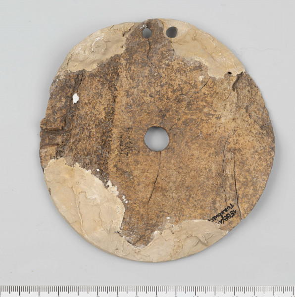 Kolista kościana tarczka (wykonana z fragmentu łopatki dużego zwierzęcia), z jednym w przybliżeniu kolistym otworem pośrodku i dwoma mniejszymi otworkami przy brzegu. Małe otworki odległe od siebie o 0,8 cm a od brzegu 0,5 cm. Górna strona tarczki (przeciwna do grzebienia łopatki) zdobiona gęsto rozmieszczonymi wzdłuż jej krawędzi małymi, okrągłymi wgłębieniami. Średnica tarczki 12 cm; grubość 0,1-0,3 cm; średnica otworu centralnego 1,2-1,3 cm; średnica otworków bocznych 0,4 cm. Barwa naturalna. Sposób wykonania przedmiotu - krawędzie i grzebień łopatki ścięto dla uzyskania maksymalnie płaskiej powierzchni dolnej, wgłębienia i para otworków nawiercona najprawdopodobniej krzemiennym wiertłem. Stan zachowania - znaczne ubytki w partii przykrawędnej oraz spękania.