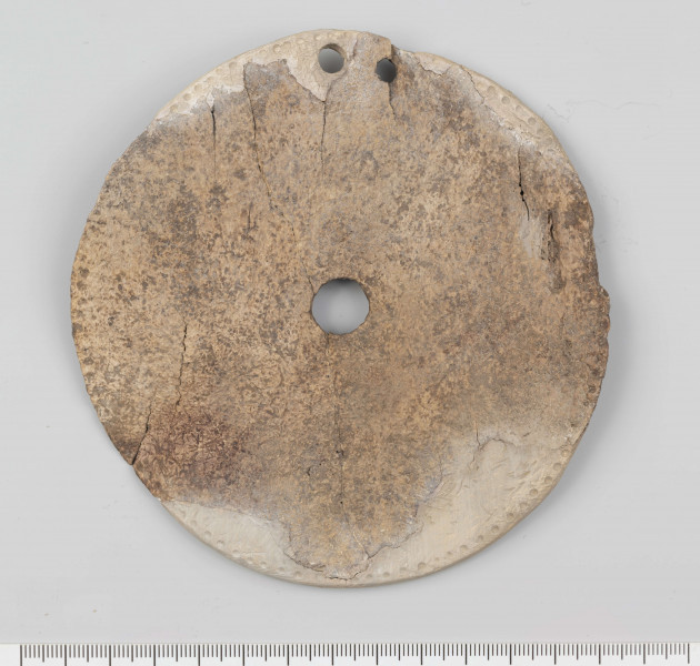 Kolista kościana tarczka (wykonana z fragmentu łopatki dużego zwierzęcia), z jednym w przybliżeniu kolistym otworem pośrodku i dwoma mniejszymi otworkami przy brzegu. Małe otworki odległe od siebie o 0,8 cm a od brzegu 0,5 cm. Górna strona tarczki (przeciwna do grzebienia łopatki) zdobiona gęsto rozmieszczonymi wzdłuż jej krawędzi małymi, okrągłymi wgłębieniami. Średnica tarczki 12 cm; grubość 0,1-0,3 cm; średnica otworu centralnego 1,2-1,3 cm; średnica otworków bocznych 0,4 cm. Barwa naturalna. Sposób wykonania przedmiotu - krawędzie i grzebień łopatki ścięto dla uzyskania maksymalnie płaskiej powierzchni dolnej, wgłębienia i para otworków nawiercona najprawdopodobniej krzemiennym wiertłem. Stan zachowania - znaczne ubytki w partii przykrawędnej oraz spękania.