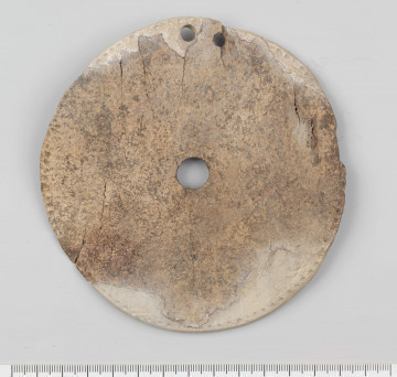 Kolista kościana tarczka (wykonana z fragmentu łopatki dużego zwierzęcia), z jednym w przybliżeniu kolistym otworem pośrodku i dwoma mniejszymi otworkami przy brzegu. Małe otworki odległe od siebie o 0,8 cm a od brzegu 0,5 cm. Górna strona tarczki (przeciwna do grzebienia łopatki) zdobiona gęsto rozmieszczonymi wzdłuż jej krawędzi małymi, okrągłymi wgłębieniami. Średnica tarczki 12 cm; grubość 0,1-0,3 cm; średnica otworu centralnego 1,2-1,3 cm; średnica otworków bocznych 0,4 cm. Barwa naturalna. Sposób wykonania przedmiotu - krawędzie i grzebień łopatki ścięto dla uzyskania maksymalnie płaskiej powierzchni dolnej, wgłębienia i para otworków nawiercona najprawdopodobniej krzemiennym wiertłem. Stan zachowania - znaczne ubytki w partii przykrawędnej oraz spękania.