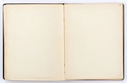 Brulion to prawie stukartkowy, elegancki zeszyt oprawiony w grubą tekturę obleczoną ozdobnie tłoczonym czarnym płótnem, karty gładkie, kremowobiałe, pokryte na brzegach pozłotą (lub farbą karminową), format: 20,5 x 16 cm. Teksty zapisane zielonym i czarnym, często wyblakłym atramentem oraz ołówkiem, na niektórych kartach tytuły wierszy podkreślone czerwoną kredką. Zabytek ten jest mocno sfatygowany: blok doklejony do okładki oraz przymocowanych dwoma paskami bezbarwrwnego płótna, pęknięty, niektóre karty oderwane od zszywek poszytowych (np. zszywki metalowe, w dużym stopniu zardzewiałe, które zniszczyły dodatkowo papier, zostały usunięte podczas konserwacji w muzeum). Całość sprawia wrażenie brulionu wielokrotnie kartkowanego - ślady palców. Karty ponumerowane są ołówkiem na górnym prawym marginesie, ta numeracja wykonana została przez pracowników muzeum , oraz na marginesie dolnym - ta pochodzi od Edwarda Kozłowicza. Między numerami z góry i z dołu zachodzi rozbieżność o 1 numer, jako że poprzedni depozytariusz zaczął numerację od pierwszej karty zapisanej przez Czechowicza; muzealnicy, którzy wpisywali numery na górnym prawym marginesie - zaczęli prawidłowo numerację od pierwszej przyokładkowej, niezapisanej karty zeszytu. Od Kozłowicza pochodzą zapewne dość liczne ołówkowe adnotacje na marginesach niektórych kart. Głównie odnoszą się one do różnic tekstowych pomiędzy brulionem a edycją niektórych wierszy zamieszczonych w tomiku poezji J. Czechowicza pt. 