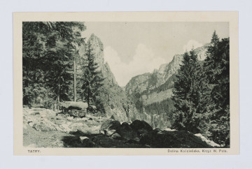 MPol/185/ML - Karta pocztowo-korespondencyjna o formacie prostokątnym, czarno-biała. Przedstawia krzyż W. Pola z fragmentem Doliny Kościeliskiej w Tatrach. W tle dzrewa iglaste oraz góry (Tatry).