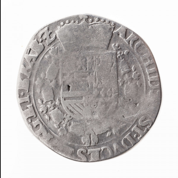 Aw. W tondzie ujętym pojedynczym otokiem liniowym ukoronowany krzyż kwiatowy ze zwieszającą się od niego odznaką orderu Złotego Runa. Po bokach dwa ukoronowane, splecione monogramy; AE. Legenda dookolna spięta na górze znakiem menniczym:
ALBERTVS.ET.ELISABET.DEI.GRATIA

Rw, W tondzie ujętym pojedynczym otokiem liniowym ukoronowana, wielodzielna tarcza herbowa, ujęta łańcuchem z odznaką orderu Złotego Runa. Legenda dookolna rozdzielona u góry koroną:
ARCHID.AVST.DVCES.B[V]RG.ET.BRAB.Z
