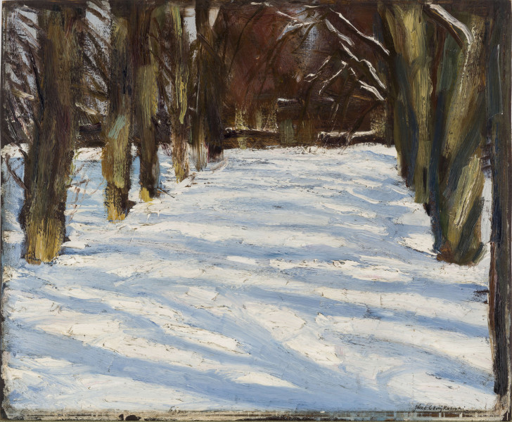 Szeroka aleja wysadzona drzewami. Widoczne jedynie pnie drzew. Aleja przykryta śniegiem, na którym układają się cienie i przebłyski słońca. W tle, na końcu alei widoczne zabudowania.