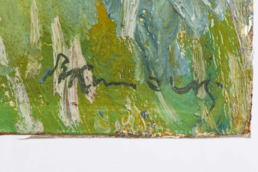 Na pierwszym planie łąka z dwoma stogami siana. Obok nich pasą się dwie krowy, jedna biało-brązowa, druga biało-czarna. W głębi widoczny dwuspadowy dach chaty. Na nią roztaczają się zielone pola. Na horyzoncie pasmo stożkowych gór i niebo pokryte churami.
