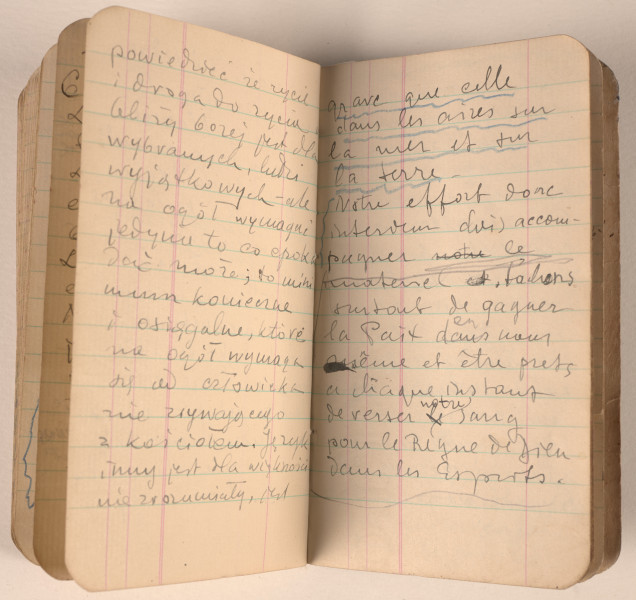 Mały notes w czarnej okładce z 1941 roku. Marek Szwarc używał go w czasie służby w Armii Polskiej w Wielkiej Brytanii. Właściciel zanotował w nim różne informacje. Na wewnętrznej stronie okładki zapisał datę urodzin, informację o przynależności służbowej, numer książeczki wojskowej, adresy żony, członków rodziny, znajomych oraz Ambasady Rzeczypospolitej Polskiej w Londynie. W środku znajdują się notatki zapisane po polsku i francusku, a także wiele rysunków. Na końcu Szwarc zawarł informację, że chce mieć pogrzeb w obrządku katolickim.