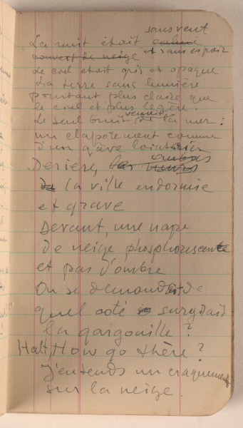 Mały notes w czarnej okładce z 1941 roku. Marek Szwarc używał go w czasie służby w Armii Polskiej w Wielkiej Brytanii. Właściciel zanotował w nim różne informacje. Na wewnętrznej stronie okładki zapisał datę urodzin, informację o przynależności służbowej, numer książeczki wojskowej, adresy żony, członków rodziny, znajomych oraz Ambasady Rzeczypospolitej Polskiej w Londynie. W środku znajdują się notatki zapisane po polsku i francusku, a także wiele rysunków. Na końcu Szwarc zawarł informację, że chce mieć pogrzeb w obrządku katolickim.