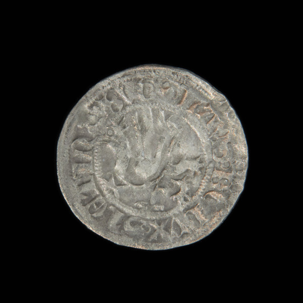 Szeląg - Ujęcie awersu. Moneta z gryfem na awersie.