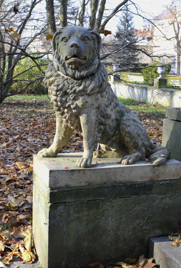 ujęcie od strony pierwszej. Figura siedzącego psa na prostopadłościennej podstawie, ustawiona na podwyższeniu obok schodów. Rasą podobny do golden retrievera. Ciało psa zwrócone w lewo, pysk przodem do widza. Figura w kolorze szarobeżowym, zabarwiona na zielono przez mech. W dolnym prawym rogu widoczny fragment schodów, w tle drzewa i murek, na którym stoją ozdobne wazy. Na ziemi warstwa brązowych, jesiennych liści.