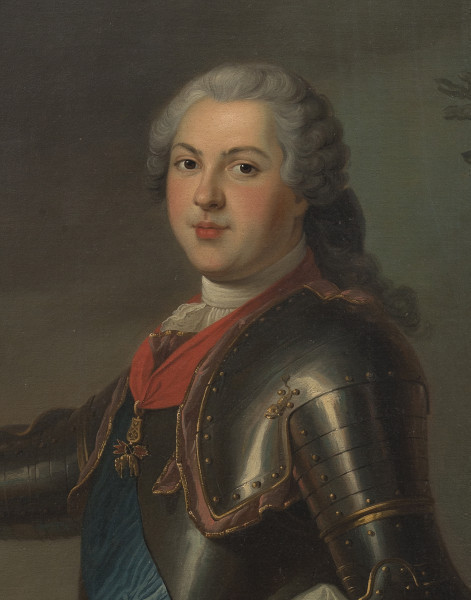 fragment lica obrazu. Popiersie krągłego mężczyzny w zbroi. Jest zwrócony w prawo. Unosi prawą rękę. Głowę i spojrzenie ciemnych oczu kieruje na widza. Jego pierś jest przepasana wstęgą, a z szyi zwisa order. Usta szlachcica są pełne, poliki różowe. Na głowie ma pudrowaną perukę – siwe loki spięte kokardą.