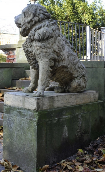 ujęcie 3/4. Figura siedzącego psa na prostopadłościennej podstawie, ustawiona na podwyższeniu obok schodów. Rasą podobny do golden retrievera. Zwrócony swoim lewym bokiem w stronę widza, pysk w prawo. Figura w kolorze szarobeżowym, zabarwiona na zielono przez mech. W tle schody i fragment pergoli, na ziemi jesienne liście.