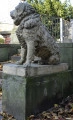 ujęcie 3/4. Figura siedzącego psa na prostopadłościennej podstawie, ustawiona na podwyższeniu obok schodów. Rasą podobny do golden retrievera. Zwrócony swoim lewym bokiem w stronę widza, pysk w prawo. Figura w kolorze szarobeżowym, zabarwiona na zielono przez mech. W tle schody i fragment pergoli, na ziemi jesienne liście.