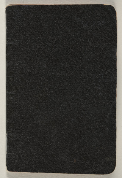 24-stronicowy paszport rosyjskojęzyczny Chai Fejgi Ariewnej Kurlander, polskiej żydówki z Tykocina, która wyemigrowała do Stanów Zjednoczonych latem 1907 roku (Atlantyk przepłynęła statkiem z Rijndam z Rotterdamu w sierpniu). Czarna okładka (przednia i tylna) - impregnowane płótno. Rogi zewnętrzne okładki i kart zaokrąglone. Na każdej stronie do s. 11 włącznie - nadrukowany szary (z drobnym wewnątrz wzorem dającym efekt zacienienia wnętrza) prostokąt tła, z ozdobną krawędzią, kończący się na około 1 cm od krawędzi karty. Bokiem napis przez całość prostokąta: PASZPORT