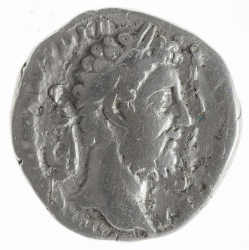 N/11384/ML - Av. Popiersie cesarza w wieńcu laurowym w prawo. W toku: M COMM ANT P FEL AVG BRIT PP

Rv. Apollo stojący na wprost, z głową w prawo, trzymający plectrum i lirę opartą o kolumnę. W otoku: APOL PAL P M TR P [XVI COS VI]
 