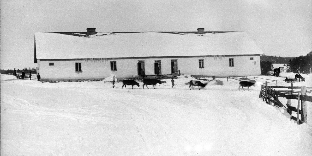 Fotografia czarno-biała przedstawia zimowy krajobraz wiejski z budynkami gospodarczymi w majątku ziemskim. Przed budynkiem widocznych jest kilka postaci i bydło. 