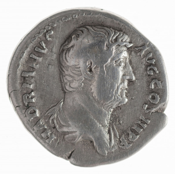 N/11368/ML - Av.: Popiersie cesarza z odkrytą głową, drapowane, w prawo. W otoku, od lewej: HADRIANVS AVG COS III P P

Rv.: Felicitas stojąca w lewo, trzymająca gałązkę i róg obfitości. W otoku, od lewej: FELICITAS . P . R
