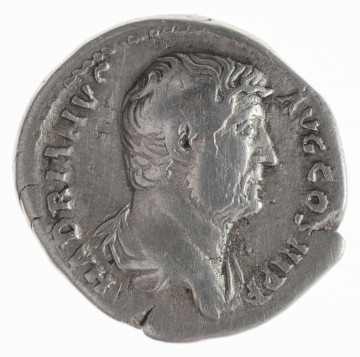 N/11368/ML - Av.: Popiersie cesarza z odkrytą głową, drapowane, w prawo. W otoku, od lewej: HADRIANVS AVG COS III P P

Rv.: Felicitas stojąca w lewo, trzymająca gałązkę i róg obfitości. W otoku, od lewej: FELICITAS . P . R
