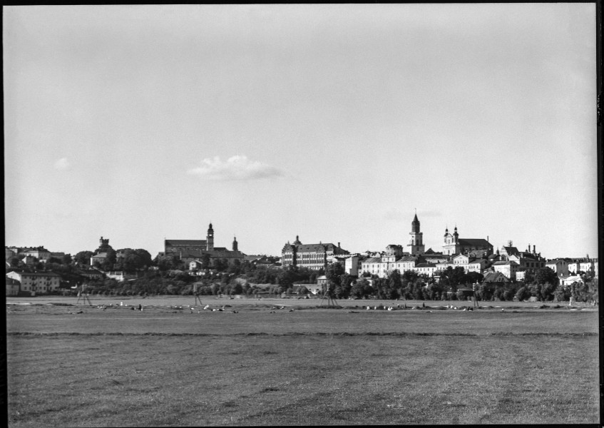 Fotografia czarnobiała z widokiem panoramicznym miasta Lublina od strony ulicy Rusałka, z rejonu doliny rzeki Bystrzycy. Widoczne na pierwszym planie łąki, w oddali zabudowania ulic Narutowicza i Bernardyńskiej, m.in. wieża ciśnień na placu Bernardyńskim (ob. placu Wolności), kościół pobernardyński pw. Nawrócenia św. Pawła, wieża Nowego Ratusza, szczyt Bramy Krakowskiej, fasada Szkoły Handlowej Vetterów, pałac Sobieskich, Wieża Trynitarska, katedra lubelska. 