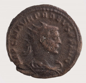 N/1463/ML AV. Popiersie cesarza w profilu w prawo, na głowie corona radiata, plaudamentum. W otoku napis:
IMP C MAVR PROBVS P F AVG
Całość ujęta pojedynczym otokiem, tutaj widocznym w części.
RV. Cesarz w zbroi, z berłem zwieńczonym orłem, stoi przed Jupiterem podającym mu glob. Litera E między postaciami.
W otoku napis: CLEMENTIA TEMP
Całość ujęta otokiem perełkowym. Na dole w odcinku: XXI