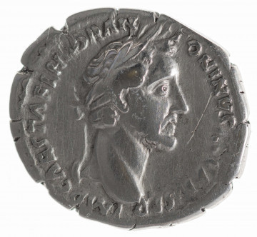 Av.: Popiersie cesarza w wieńcu laurowym w prawo. W otoku: IMP CAES T AEL HADR AN[T]ONINVS AVG PIVS P P

Rv.: Tranquillitas stojąca z głową zwróconą w prawo, trzymająca w prawej ręce ster, w lewej kłosy zboża. W otoku: TR POT XIIII COS IIII. W dołu: TRAN[Q]
