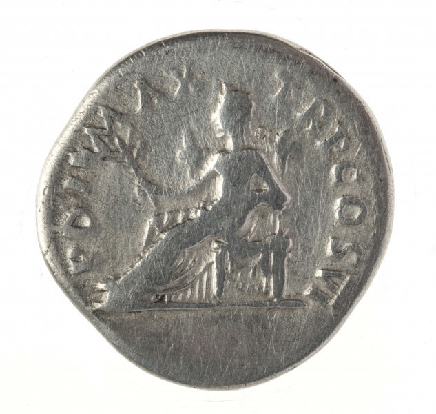 AV. Głowa cesarza w wieńcu laurowym w profilu w prawo. W otoku napis:
IMP CAESAR VESPASIANVS AVG

RV. Siedząca Pax w profilu w lewo, z gałązką w prawej dłoni. W otoku napis:
PON MAX  -  TR P COS VI