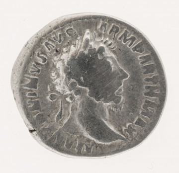 AV. Popiersie cesarza w wieńcu laurowym na głowie, w profilu w prawo. W otoku napis:
M ANTONINVS AVG - ARM PARTH MAX

RV. Stojąca Pax w lewo. W rękach trzyma gałązkę laurową i róg obfitości. W otoku napis:
TR P XX IM - P IIII COS III