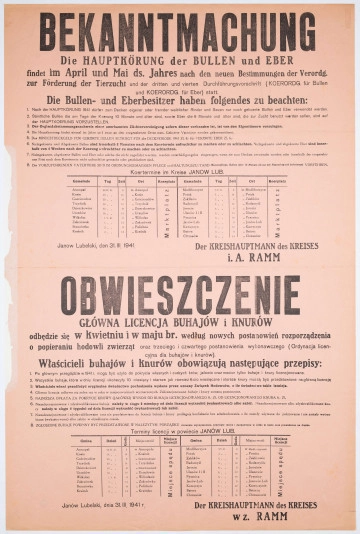 Obwieszczenie o nadaniu prawnej licencji dla buhajów i knurów w gminach powiatu janowskiego. Afisz drukowany na pomarańczowym papierze. Tekst dwujęzyczny (o niemiecku i po polsku). Wydane przez zastępcę starosty janowskiego Ramma.