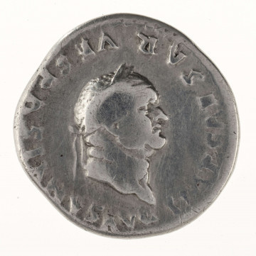 AV. Głowa cesarza w wieńcu laurowym w profilu w prawo. W otoku napis:
IMP CAESAR VESPASIANVS AVG

RV. Siedząca Pax w profilu w lewo, z gałązką w prawej dłoni. W otoku napis:
PON MAX  -  TR P COS VI